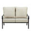 53.1'' Wide Straight Aluminum Loveseat with Cushions