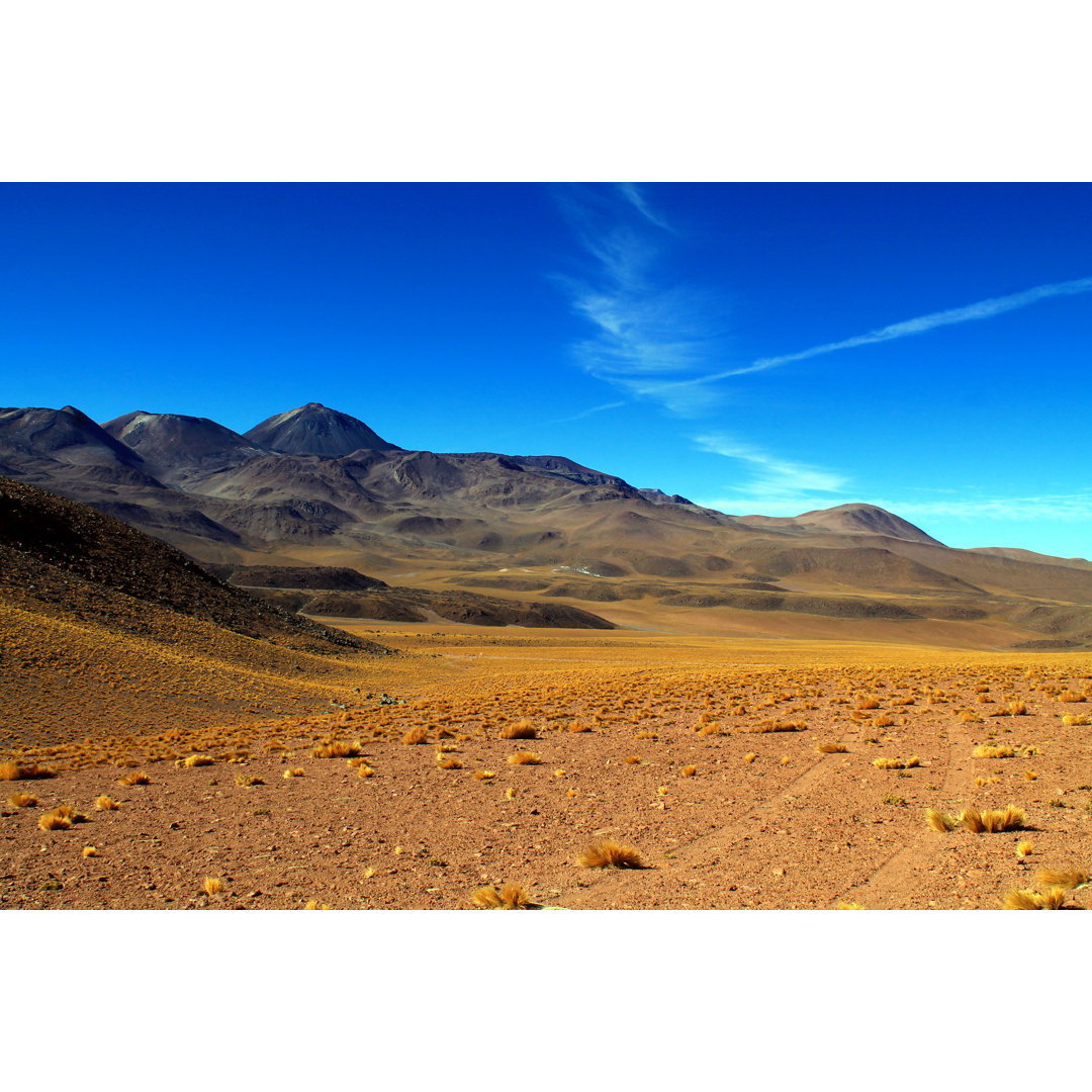 Leinwandbild Spuren auf einem Lavafeld mit einem Panorama des Vulkans Sairecabur