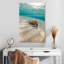 Coquillage sous-marin Aletra-108521353