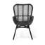 Gaelen Patio Dining Armchair with Cushion-303904340
