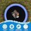 Round Backyard Trampoline with Safety Enclosure