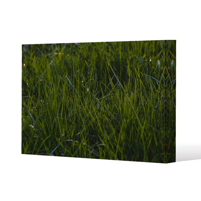 Andrew Lee - Wrapped Canvas Print
