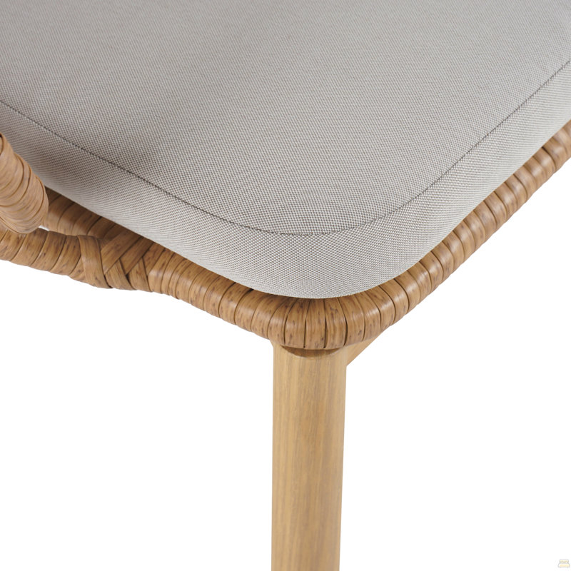 Chaise d'extérieur en osier, ensemble de 2