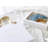 Carolina Blue Africa Coasters