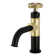 Webb Single Hole Bathroom Faucet with Drain Assembly