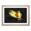 Yellow Macaw Parrot - Framed Print-56841861-56841864