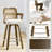 Upholstered Cane Back Counter & Bar Stool With Armrest-853572448-857907582