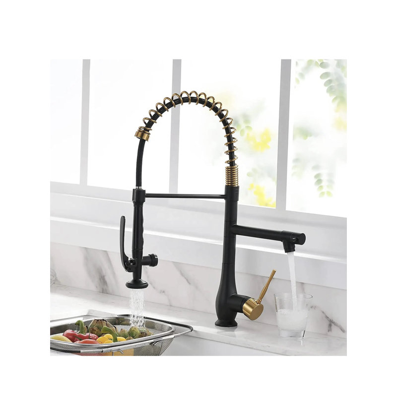 AvaMalis Pull Down Kitchen Faucet