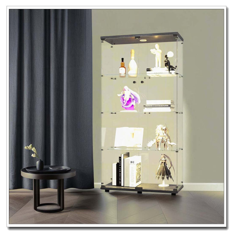 Armoire lumineuse en verre à deux portes avec 4 tablettes et télécommande, Noir