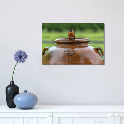 Robin On A Pot by David Gardiner - Wrapped Canvas Print