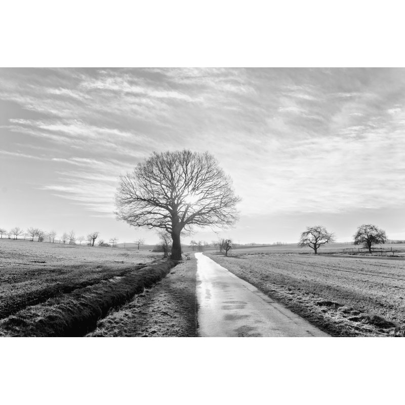 Idyllic Sunrise by Wicki58 - No Frame Art Prints on Canvas, 51cm H x 76cm W