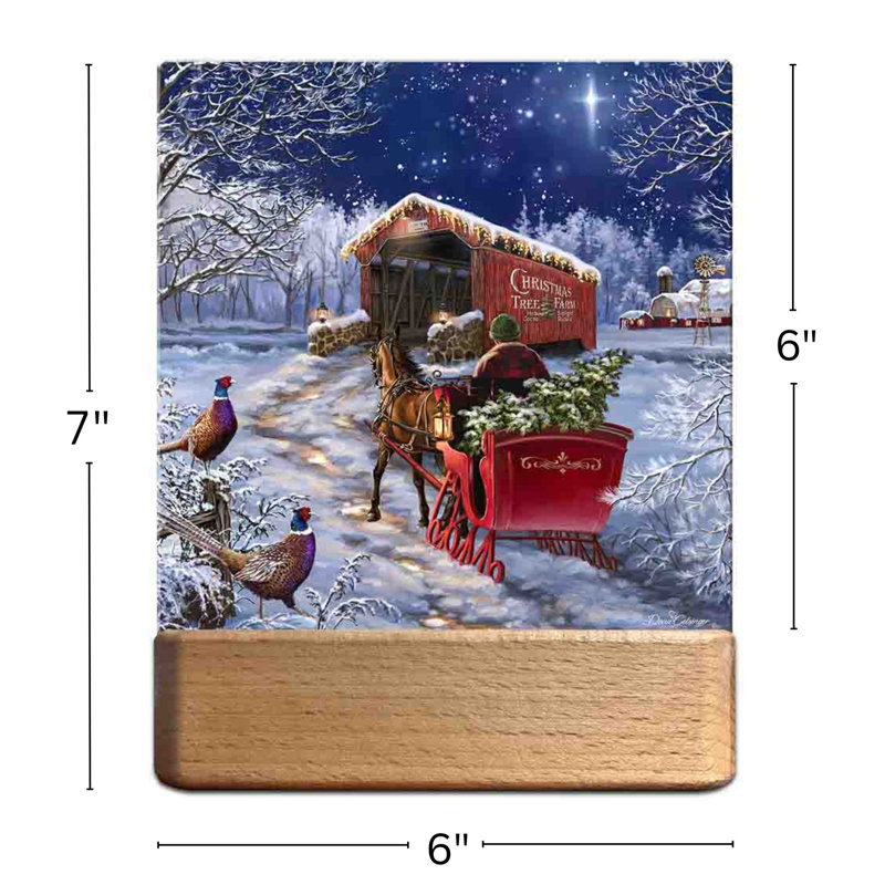 Starry Winter Night LED Nightlight