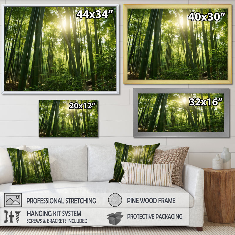 «Dynamic Light Bamboo Grove II» sur toile, Cadre naturel flottant, H 24 po x l 32 po x P 1 po