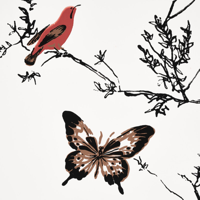 Papier peint oiseaux et papillons, Multicolore sur fond blanc