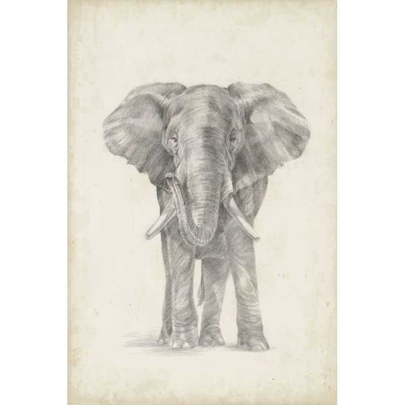 Elephant Sketch II by Ethan Harper - Painting, 122cm H x 81cm W, Wrapped Canvas