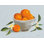 Oranges dans un bol gris, texture bleue par Pamela Munger