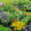 «Elasha Garden Flowers» par - Photographie sur toile tendue