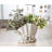 Seaside Scallop Planter