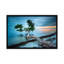 «Water Tree 10 Color», impression sur toile tendue-21992232-72441739-72441740