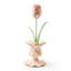 Rosy Garden Tulip In Vase