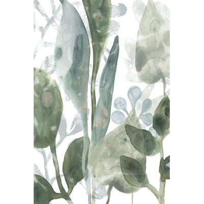 Feuilles aquatiques III