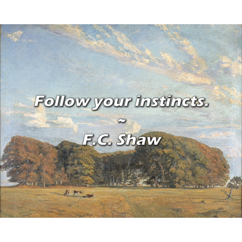 F.C. Citation de Shaw: suivez votre instinct.