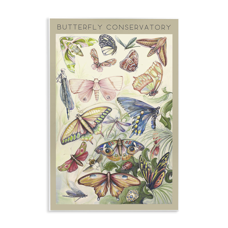 Plaque murale vintage avec conservateur papillon, design par DIannart, H 19 po x l 13 po