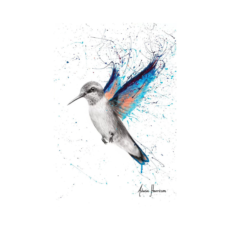 Azul Hummingbird by Ashvin Harrison - Wrapped Canvas Print, 20.32 cm H x 30.48 cm W