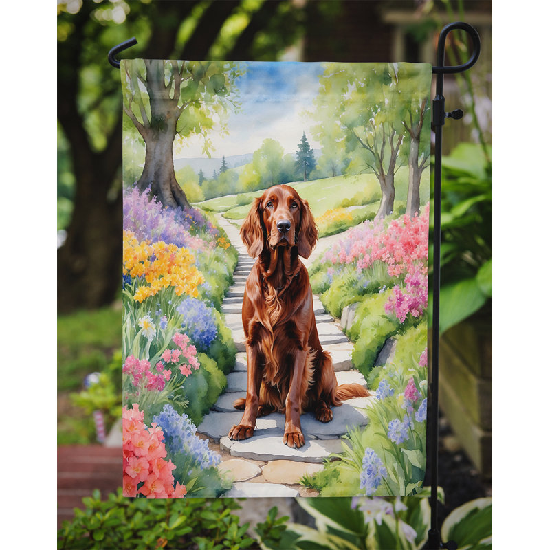 Drapeau irlandais Setter Spring Spring Garden