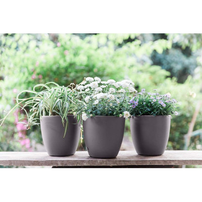 7'' Self Watering Planters For Indoor Plants - With Water Level Indicator For Flower Pot , Grow Tracking Tool - Coco Coir - Grey 3 Pack