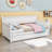 Crickett Twin Size Daybed with Trundle-1567342380