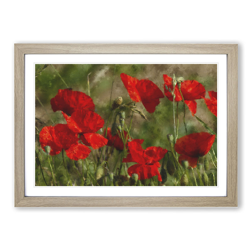 Field of Poppies Vol.7 - Framed Print, Oak Framed, 27cm H x 36cm W x 2cm D