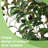 73.62 " H Faux Olive Tree Plant