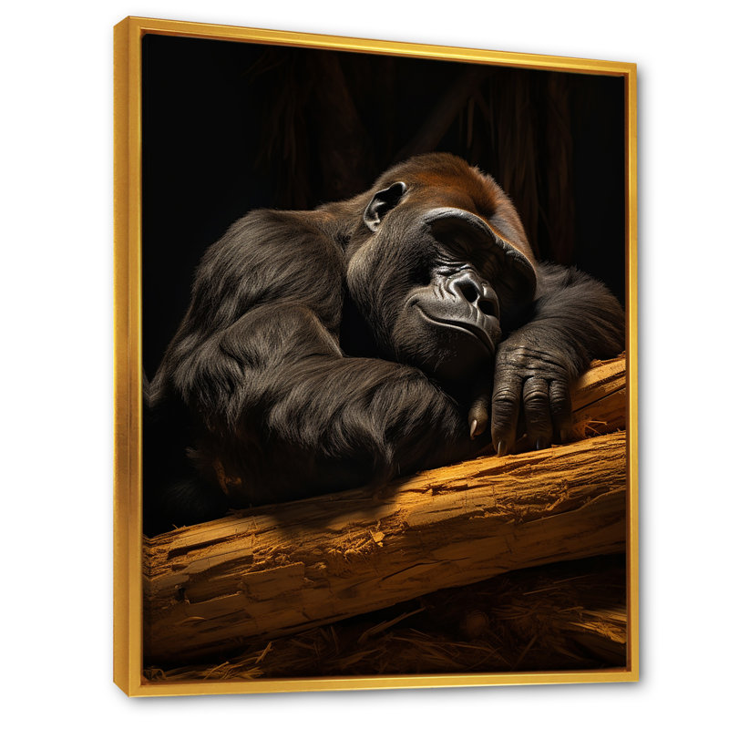 Gorille de la sieste sur toile, H 20 po x l 12 po x P 1 po, Cadre flottant doré