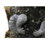 Hallock Animals UV Resistant Plastic Garden Statue