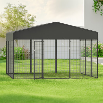 Grand parc d'extérieur pour chien 10 x 10 x 6,5 pi