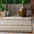 Mukul Geometric Striped Beige/Black Indoor/Outdoor Tasseled Rug-1122638204