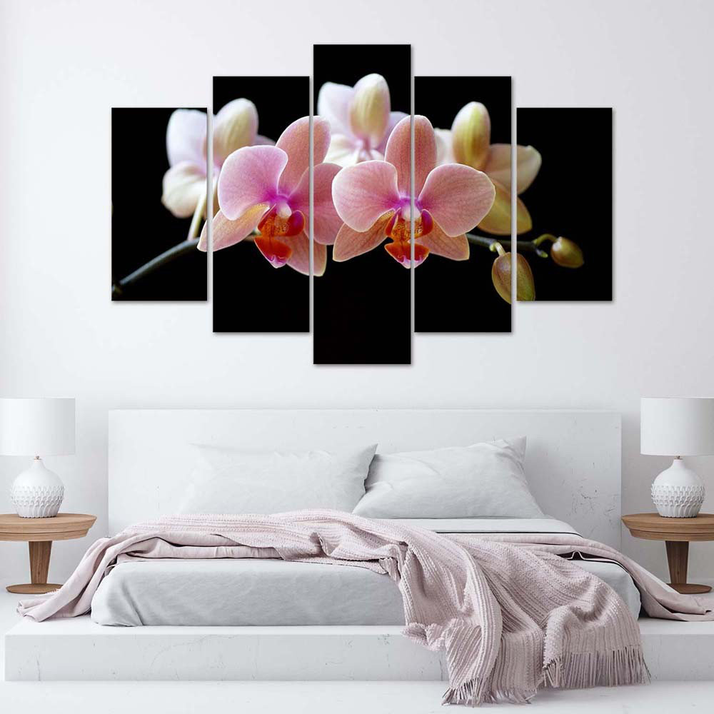 Leinwandbild Pink Orchid