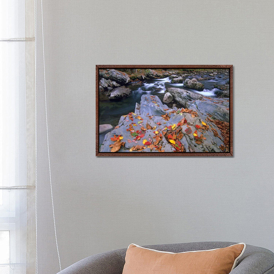 Little Pigeon River, Great Smoky Mountains National Park, Tennessee von Tim Fitzharris - Gallery-Wrapped Canvas Giclée o...