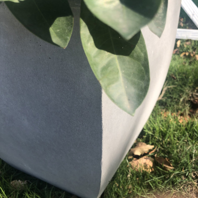 Jardinières en pot, H 18 po x l 18 po x P 18 po