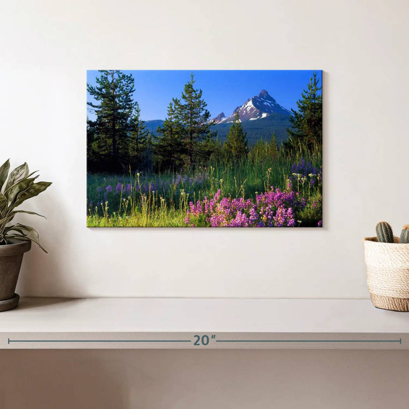 Champ de fleurs d'Alvord Mount Washington, H 8 po x l 12 po