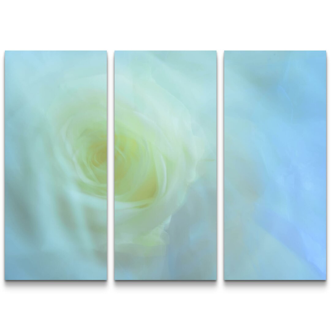 3-tlg. Leinwandbilder-Set Blaue Rose