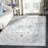 Aurich Light Gray/Blue Oriental Rug-1041676807