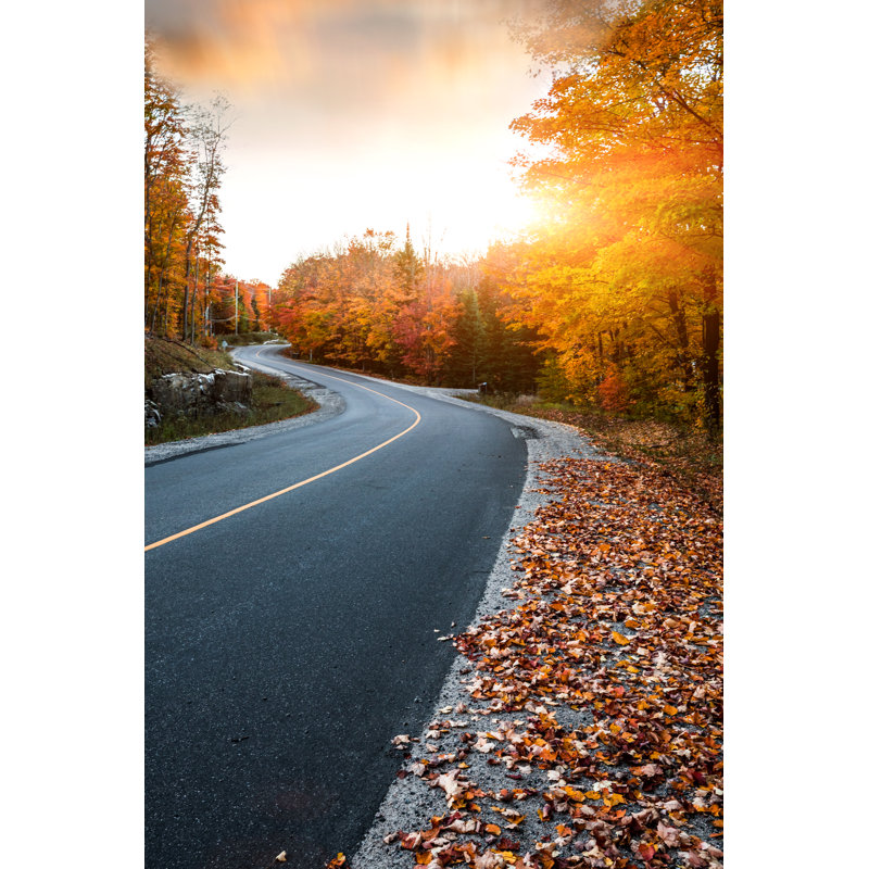 Parc canadien pendant l'automne par Leonardo Patrizi, H 36 po x l 24 po