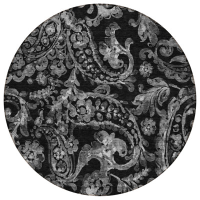 Shelsey Washable Paisley Indoor / Outdoor Rug