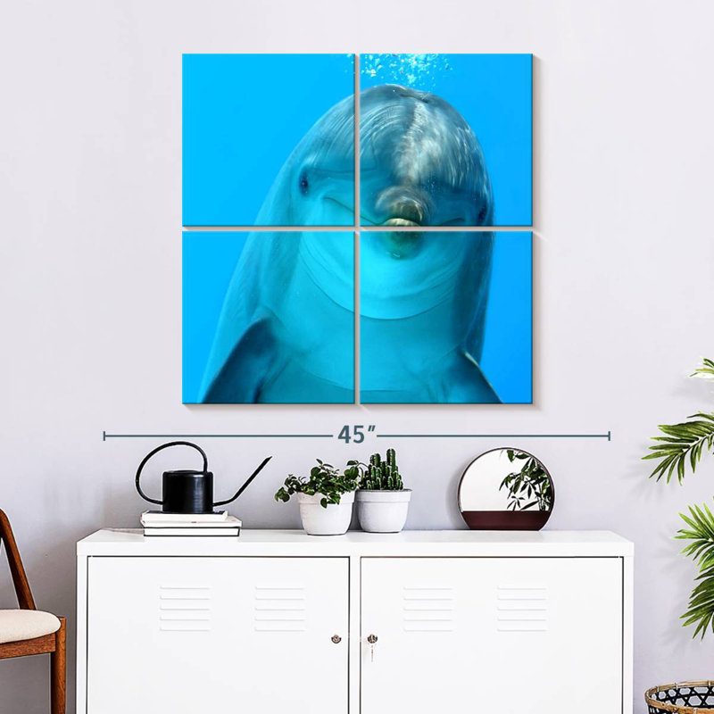 Brampt Dolphin Encounter, 18" H x 18" W
