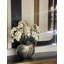 Orchidées olympiennes Phalaenopsis dans un vase-90764542-90764543