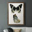 «Engelman Antique Blue Butterflies I», reproduction d'art sur toile-88378586-88378587