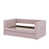 Rose est en rupture de stock