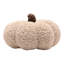 Orange Cushion-133900114